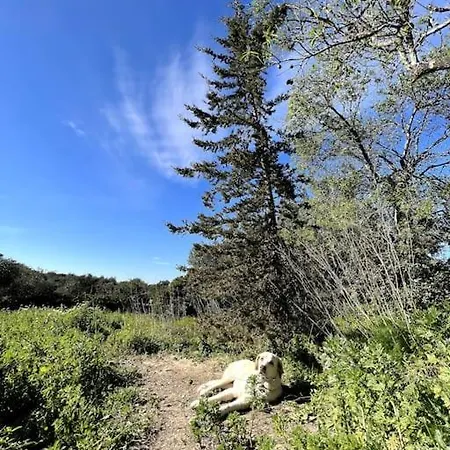 Of The Hill *